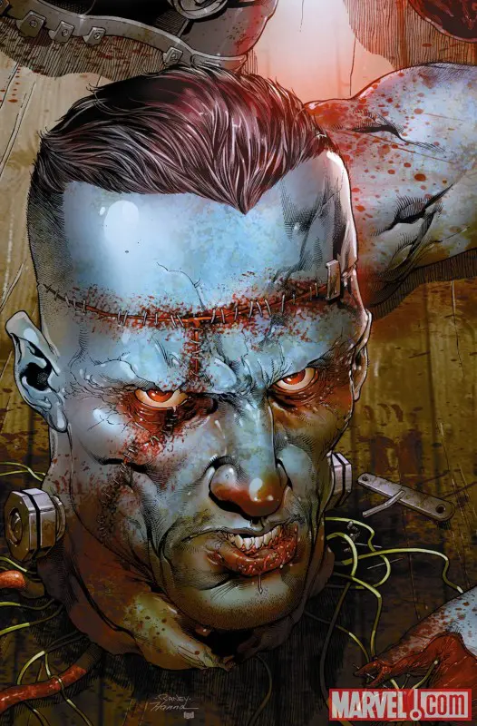 Punisher (2009) #10 (REST IN PIECES VARIANT)