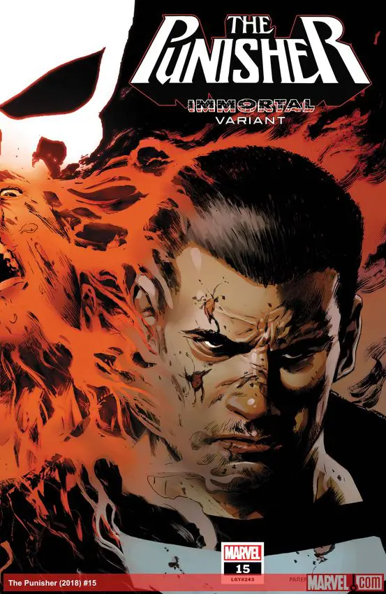 The Punisher (2018) #15 (Variant)