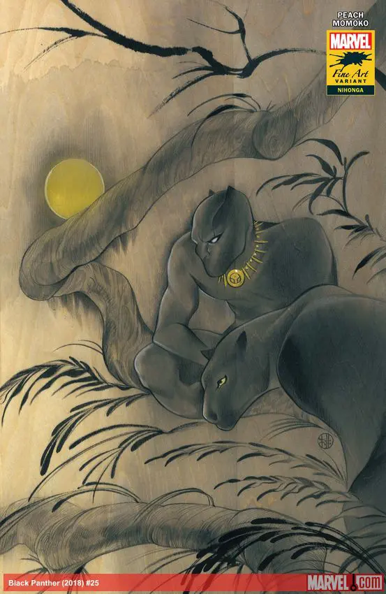 Black Panther (2018) #25 (Variant)