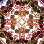 Ultimate Spider-Man (2009) #2