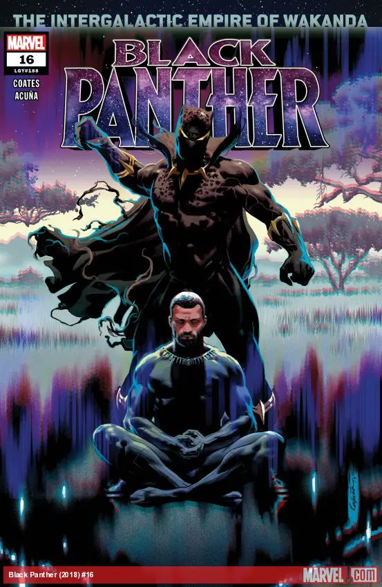 Black Panther (2018) #16