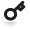 Key icon
